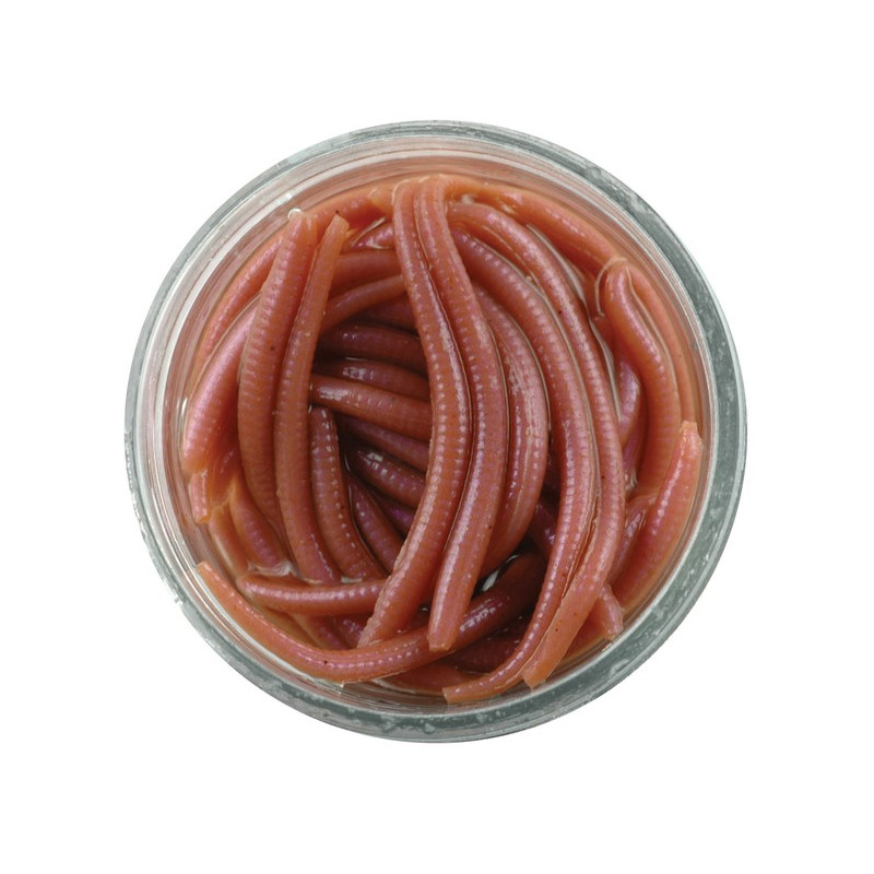 Gumy Gulp! Alive Angle Worm 5cm Red Wiggler Berkley