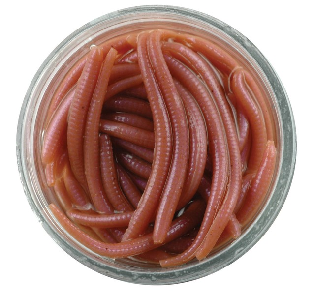 gumy-gulp-alive-angle-worm-berkley