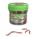 Sztuczne robaki Gulp! Alive Blood Worm Berkley