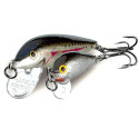 Count Down CD09 9cm Bleeding Hot Olive Rapala Count Down CD09 9cm Bleeding Hot Olive Rapala
