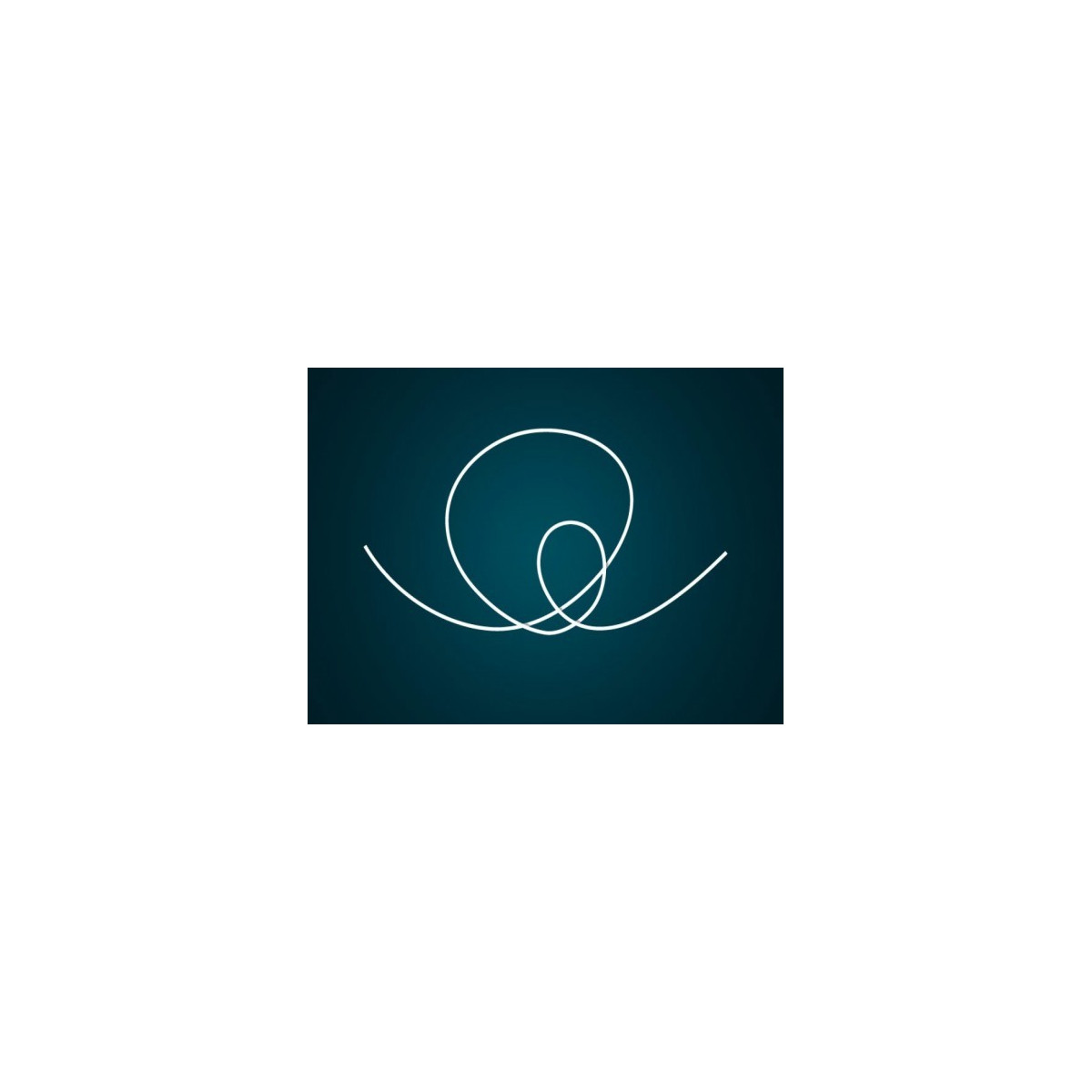 specjalna-nic-do-mocowania-kulek-korda