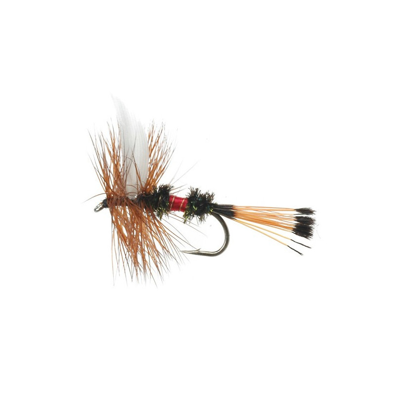 mucha-standard-dries-royal-coachman-taimen