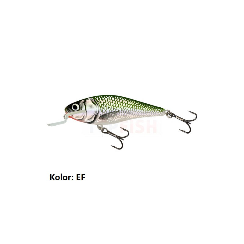 Wobler Salmo Executor ex5sdr 5cm RTR