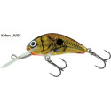Wobler Salmo Hornet H5S 5cm BSS Wobler Salmo Hornet H5S 5cm BSS