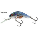 Wobler Salmo Hornet H6S 6cm hbs