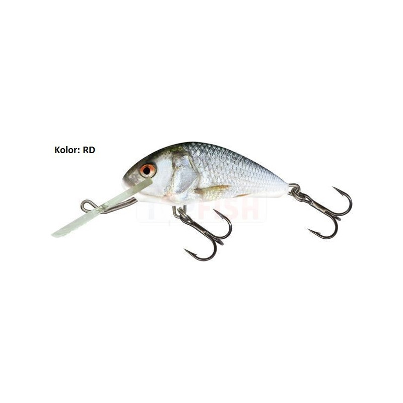 Wobler Salmo Hornet H6S 6cm