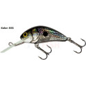 Wobler Salmo Hornet H3S 3.5cm DB Wobler Salmo Hornet H3S 3.5cm DB