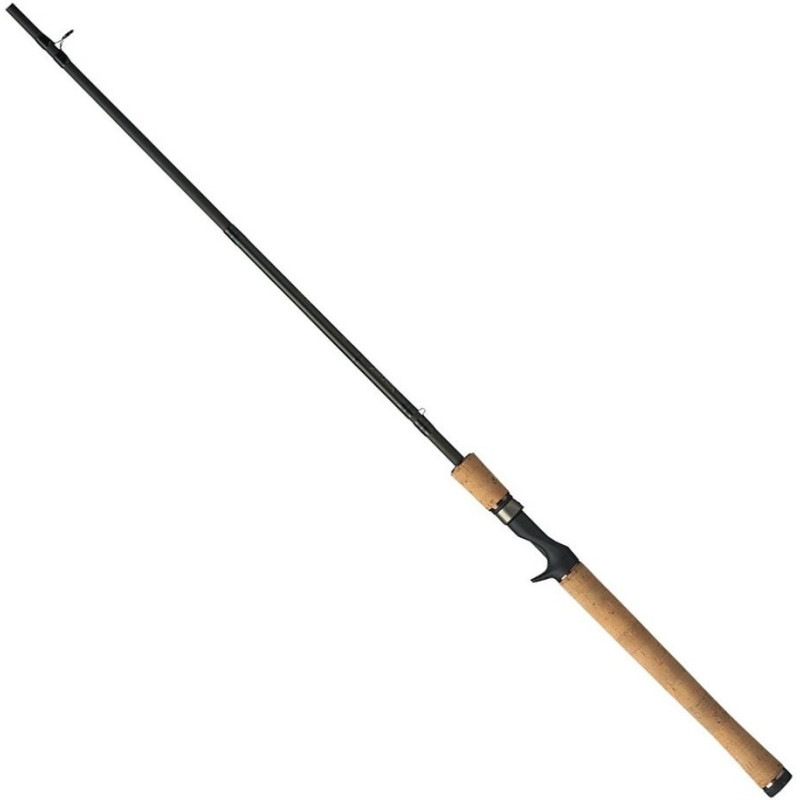 Wędka Fenwick Eagle GT Casting 2-częściowy 198cm / 5-28g