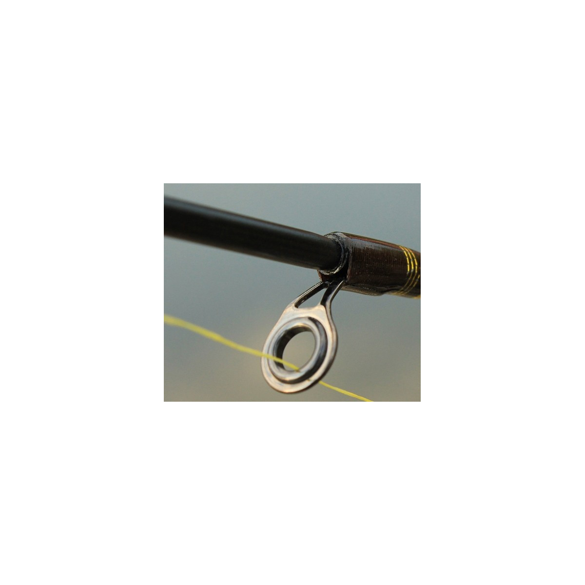 wedka-virago-zander-vs-konger