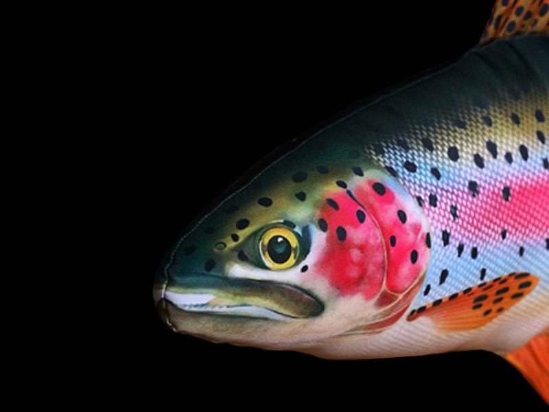 maskotka-pstrag-teczowy-gaby maskotka-pstrag-teczowy-gaby