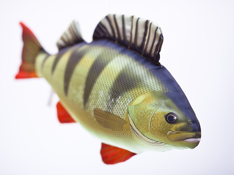 maskotka-okon-gaby maskotka-okon-gaby