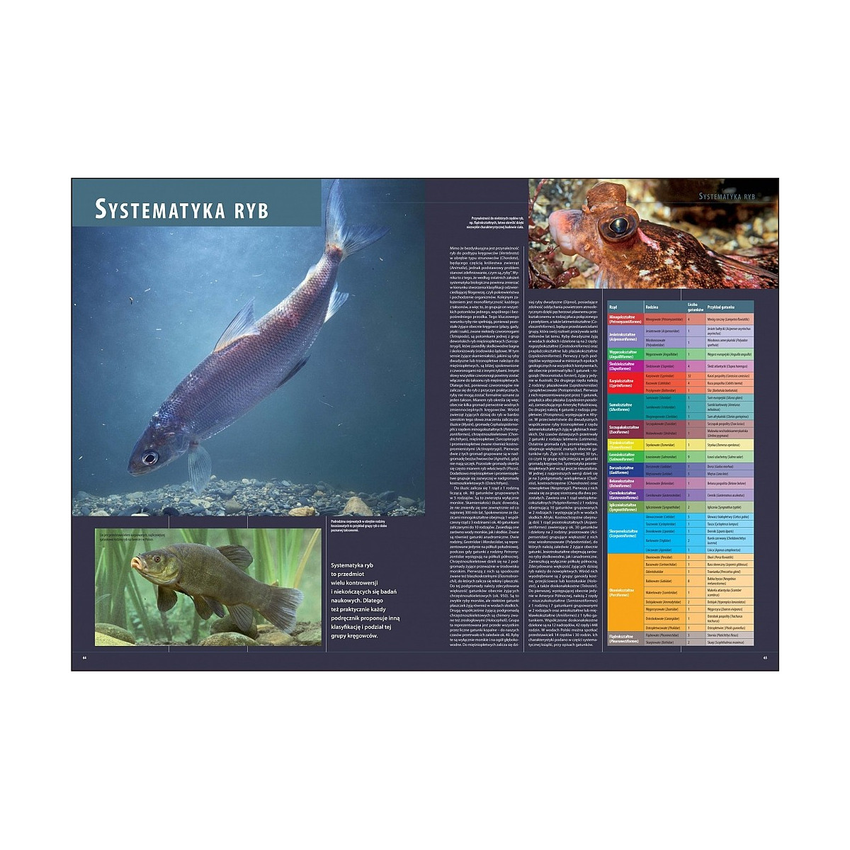 ilustrowana-encyklopedia-ryb-polski-wedkarski-com ilustrowana-encyklopedia-ryb-polski-wedkarski-com
