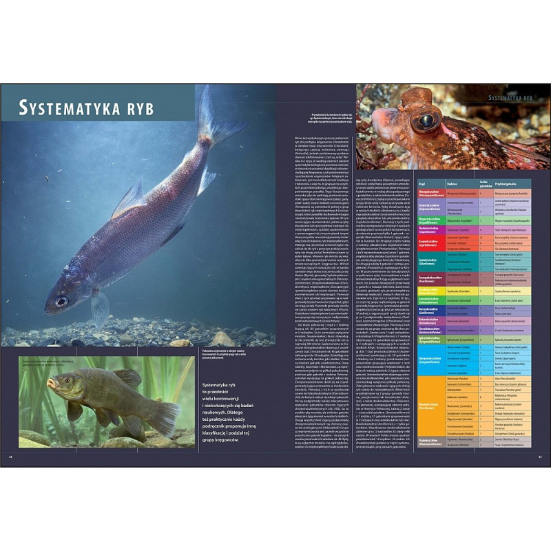 Ilustrowana Encyklopedia Ryb Polski erp Ilustrowana Encyklopedia Ryb Polski erp
