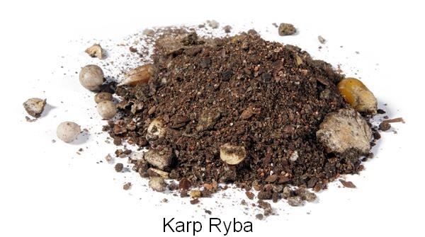 zaneta-elite-karp-dragon zaneta-elite-karp-dragon