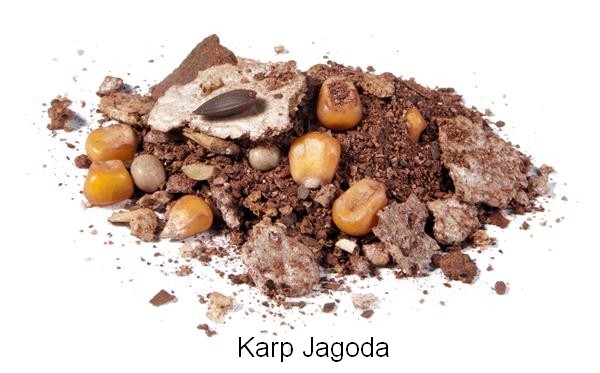 zaneta-elite-karp-dragon zaneta-elite-karp-dragon