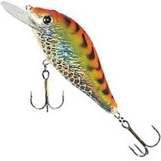 woblery-hs-karas-jaxon woblery-hs-karas-jaxon