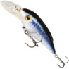 wobler-leader-mikado