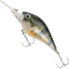 wobler-plywajacy-kingfisher-mikado