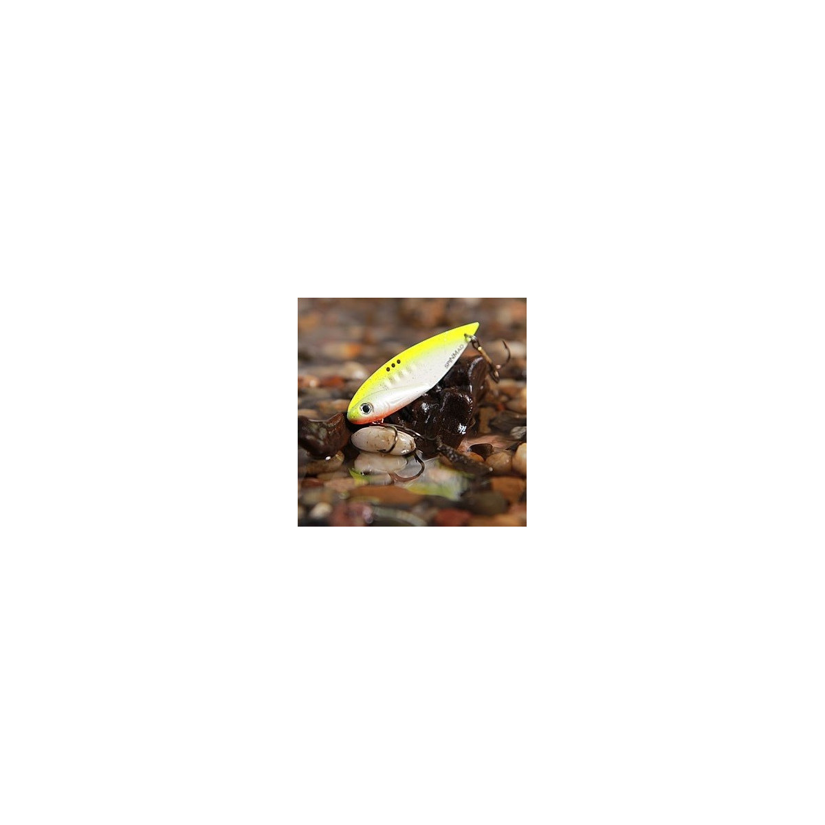 cykada-king-18-g-spinmad cykada-king-18-g-spinmad