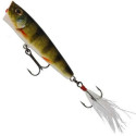 Wobler Savage Gear 3D Pop Prey 6.6cm roach