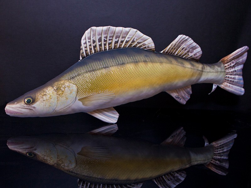 maskotka-sandacz-gaby maskotka-sandacz-gaby