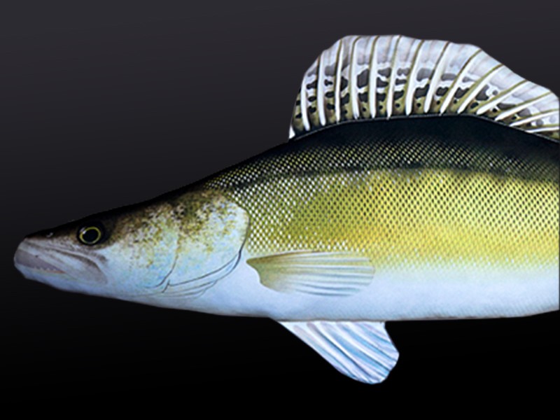 maskotka-sandacz-gaby maskotka-sandacz-gaby