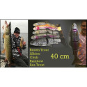Przynęta Savage Gear 4D Line Thru Trout Big Game 40cm chub