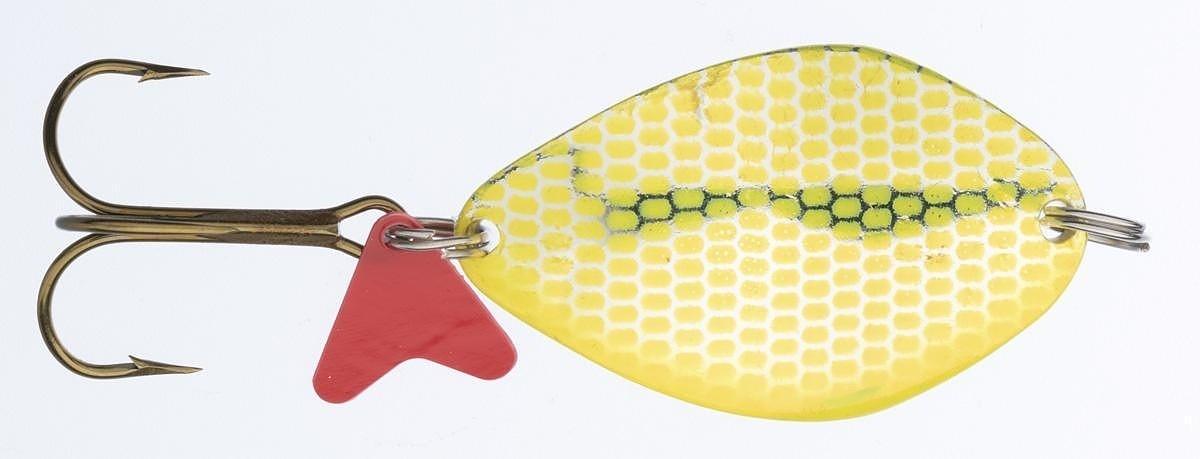 blystka-hs-kola-raster-jaxon blystka-hs-kola-raster-jaxon