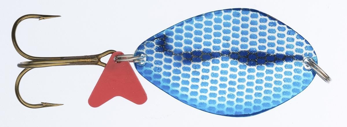 blystka-hs-kola-raster-jaxon blystka-hs-kola-raster-jaxon