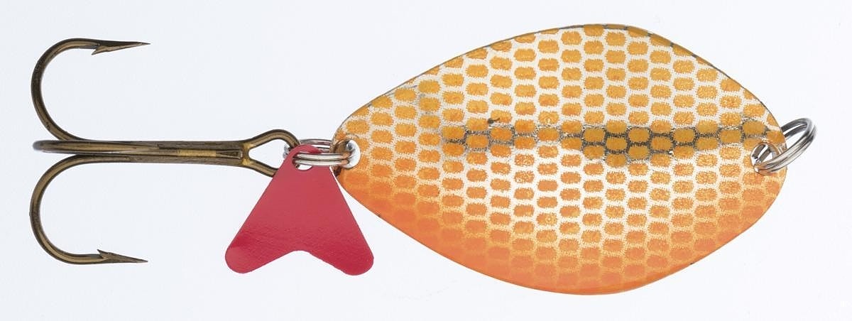 blystka-hs-kola-raster-jaxon blystka-hs-kola-raster-jaxon