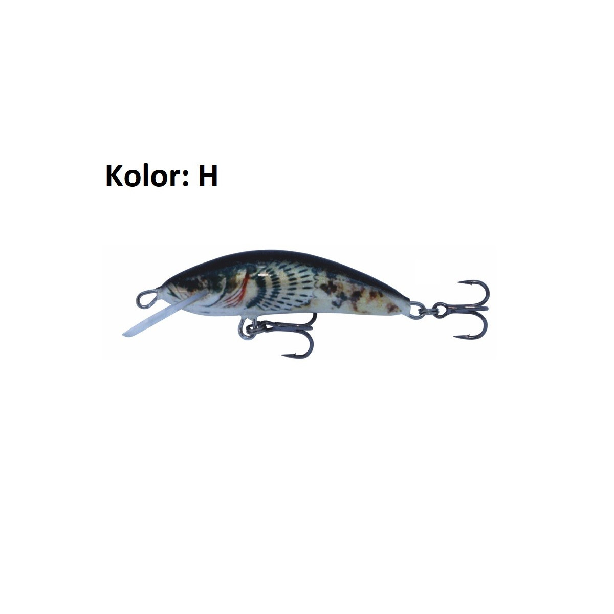 wobler-winner-kenart wobler-winner-kenart