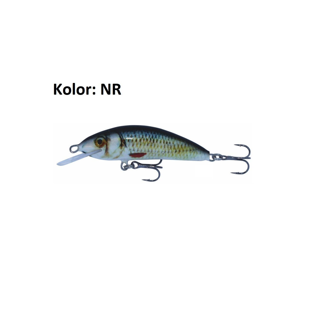 wobler-winner-kenart wobler-winner-kenart