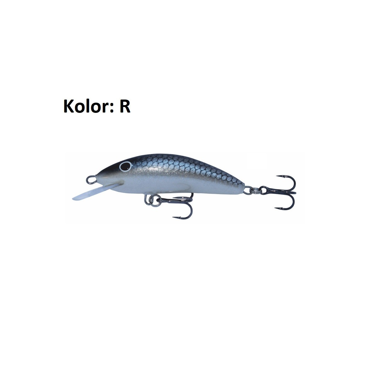 wobler-winner-kenart wobler-winner-kenart