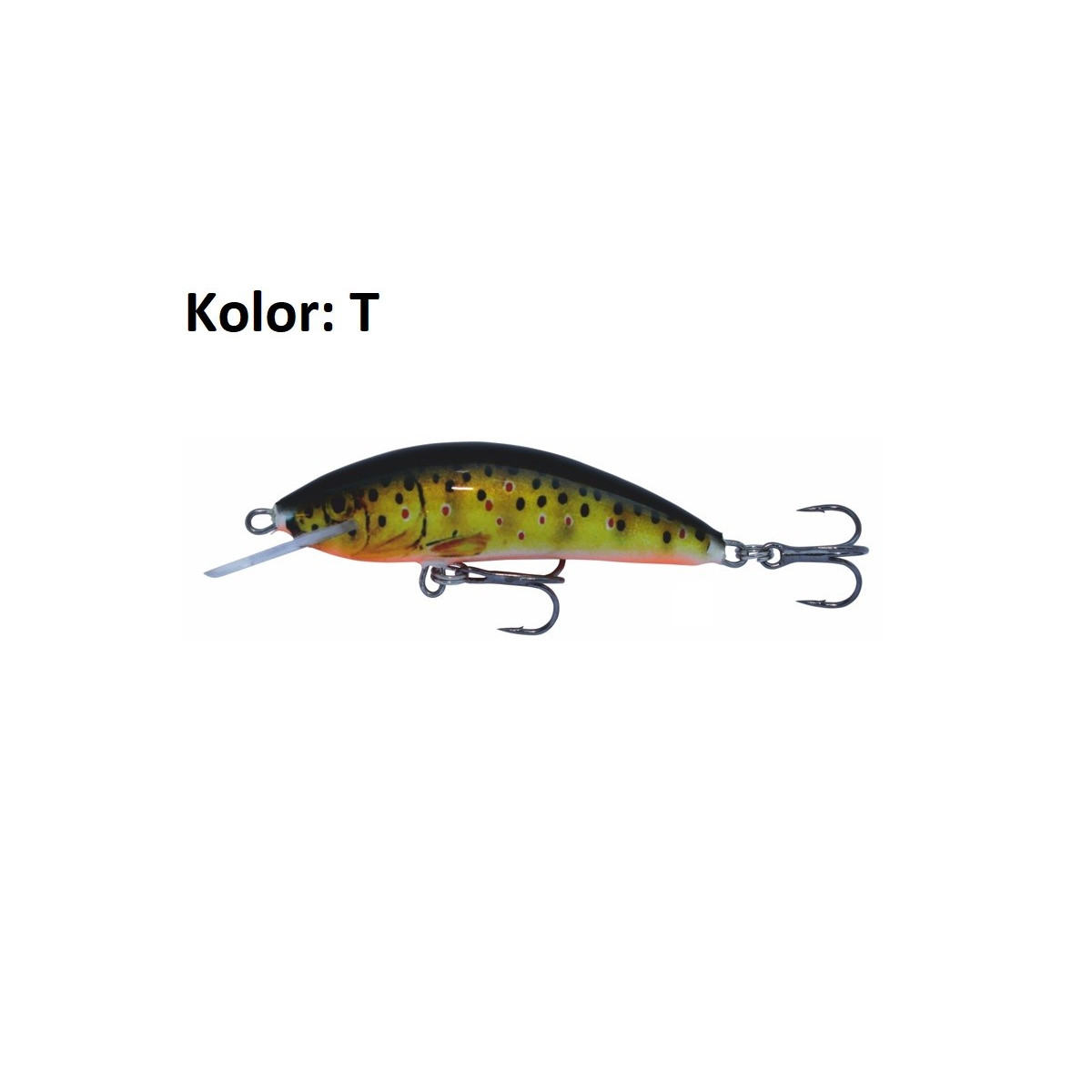 wobler-winner-kenart wobler-winner-kenart