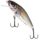 Wobler Salmo Perch PH8F 8cm RR Wobler Salmo Perch PH8F 8cm RR