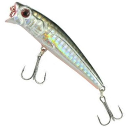 wobler-edar-xhe-jaxon wobler-edar-xhe-jaxon