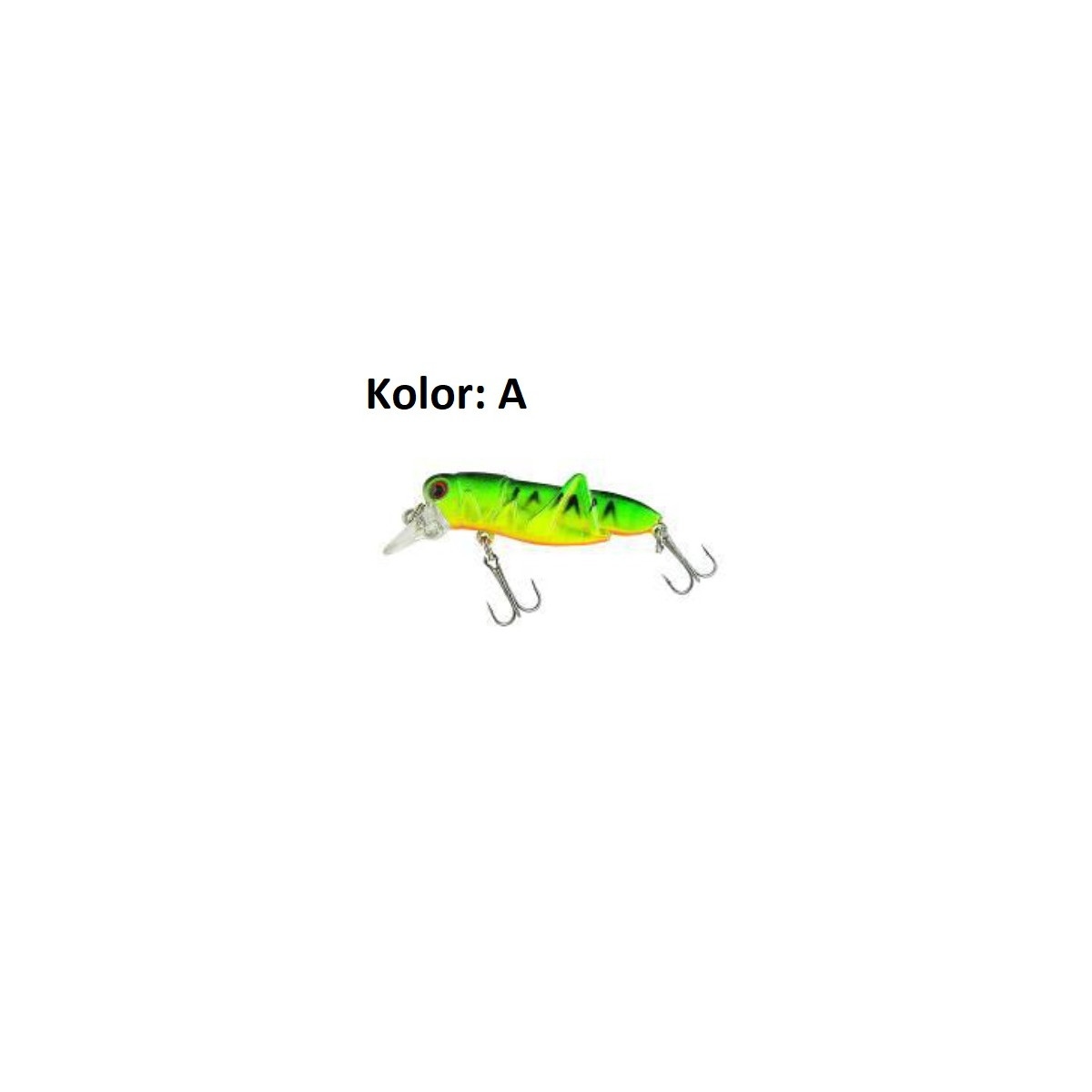 wobler-hooper-xhj-jaxon wobler-hooper-xhj-jaxon