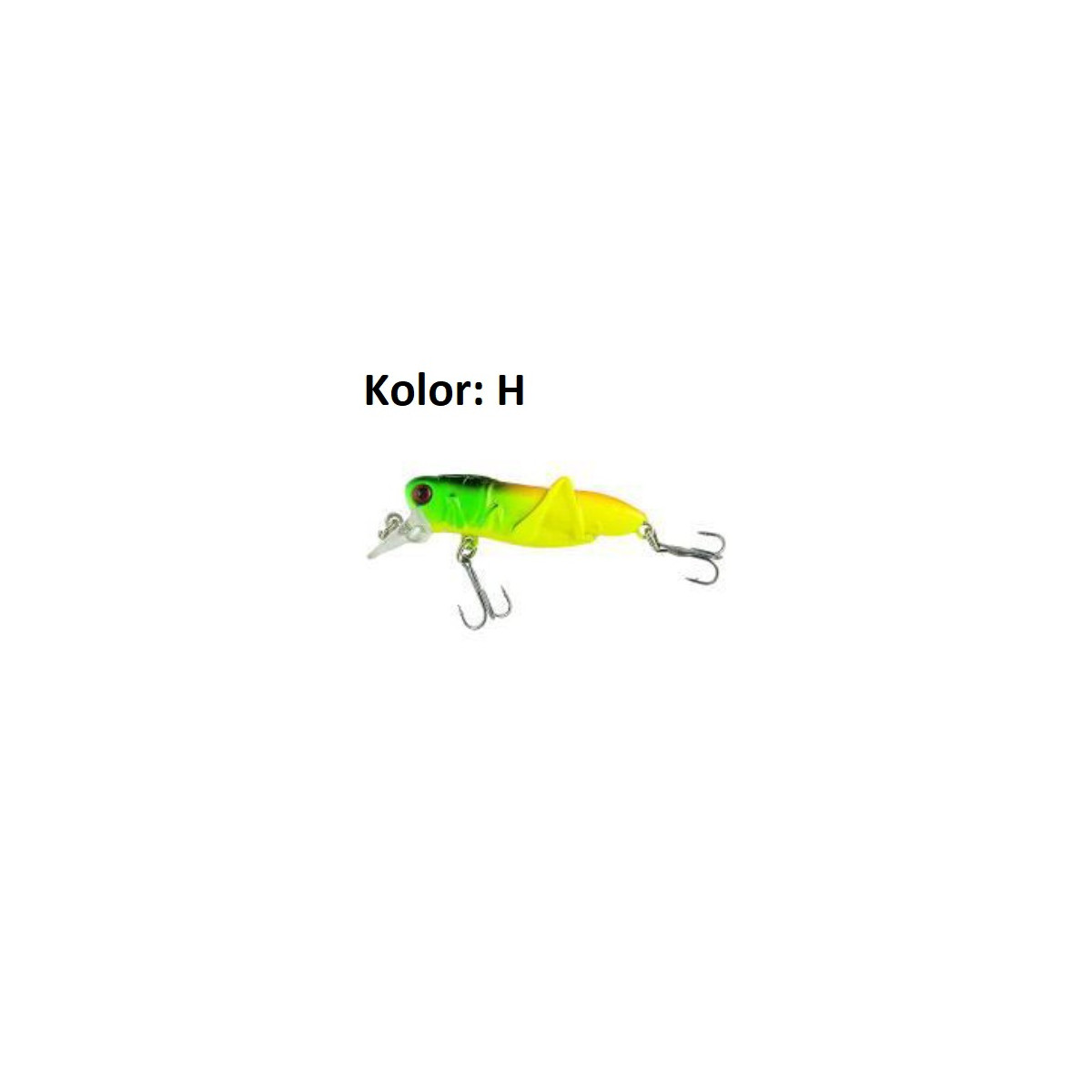 wobler-hooper-xhj-jaxon wobler-hooper-xhj-jaxon