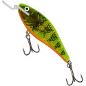 Wobler Salmo Executor ex5sdr 5cm RTR