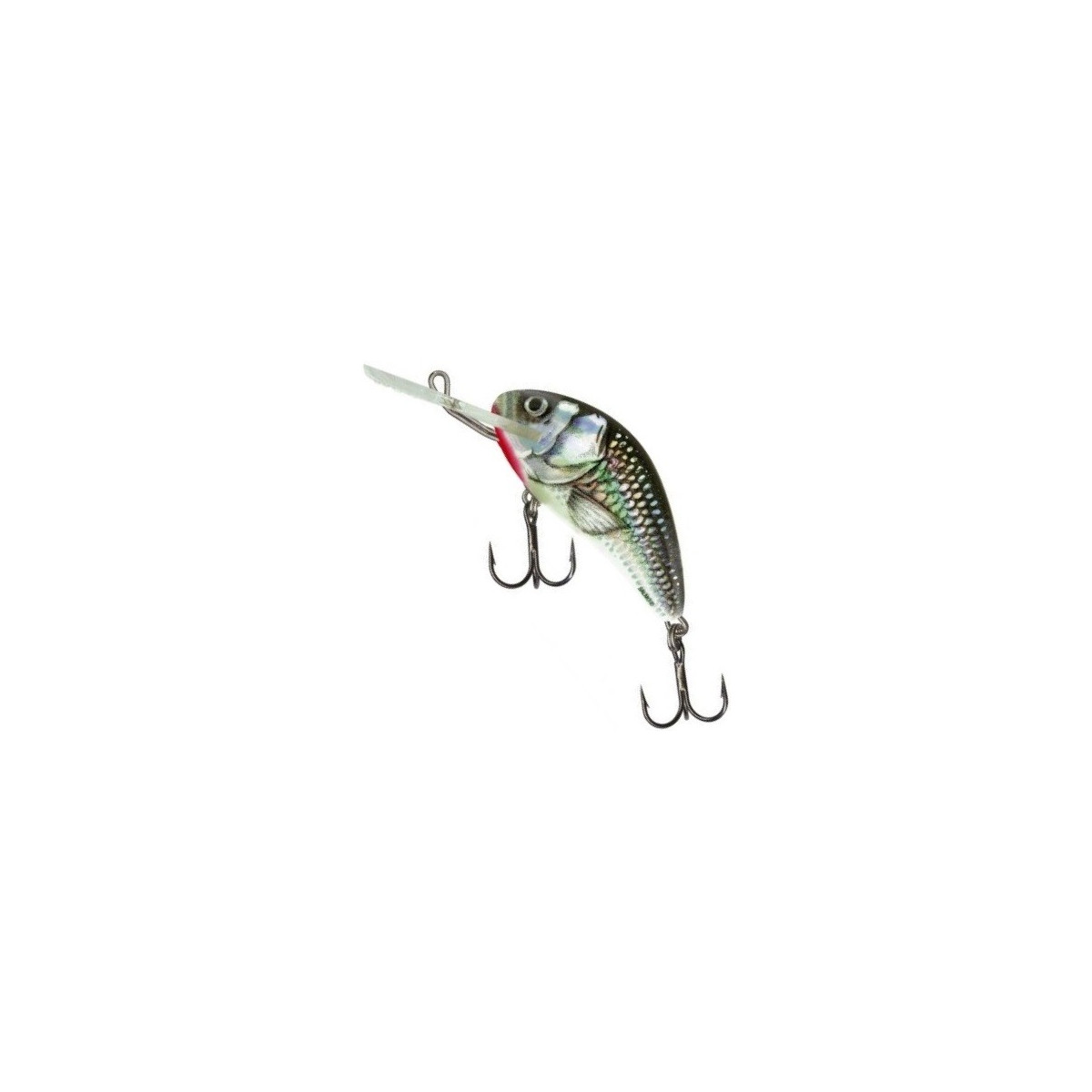wobler-hornet-h6s-salmo