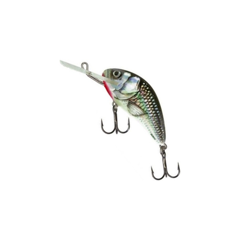 wobler-hornet-h6s-salmo