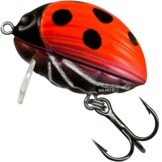 wobler-smuzak-lil-bug-salmo