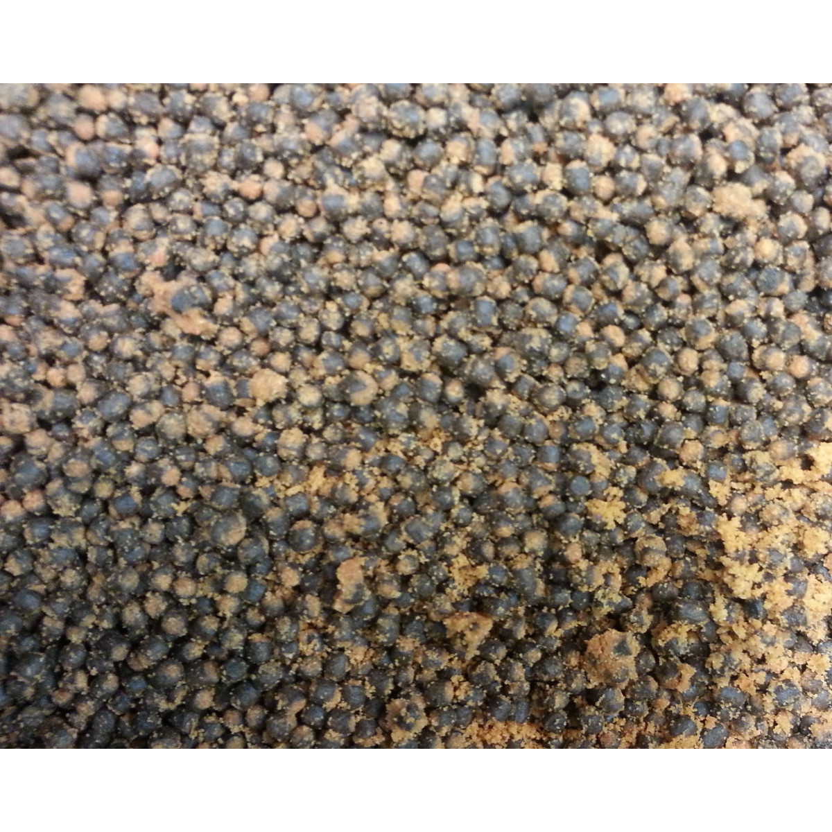 gotowa-zaneta-energy-vbg-system-pellet-1-kg-adder-carp