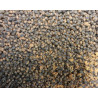 gotowa-zaneta-energy-vbg-system-pellet-1-kg-adder-carp