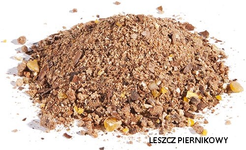 zaneta-quattro-dragon zaneta-quattro-dragon