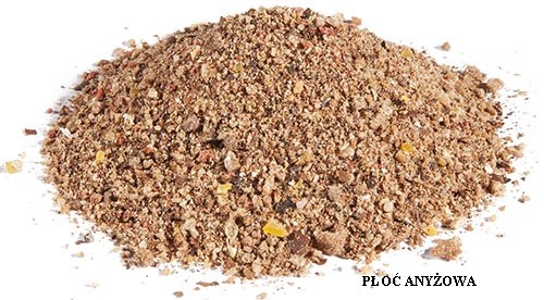 zaneta-quattro-dragon zaneta-quattro-dragon