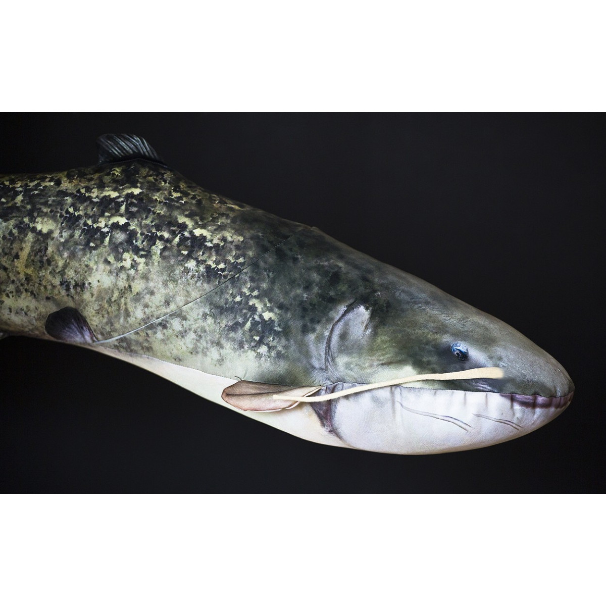 maskotka-sum-europejski-gaby maskotka-sum-europejski-gaby