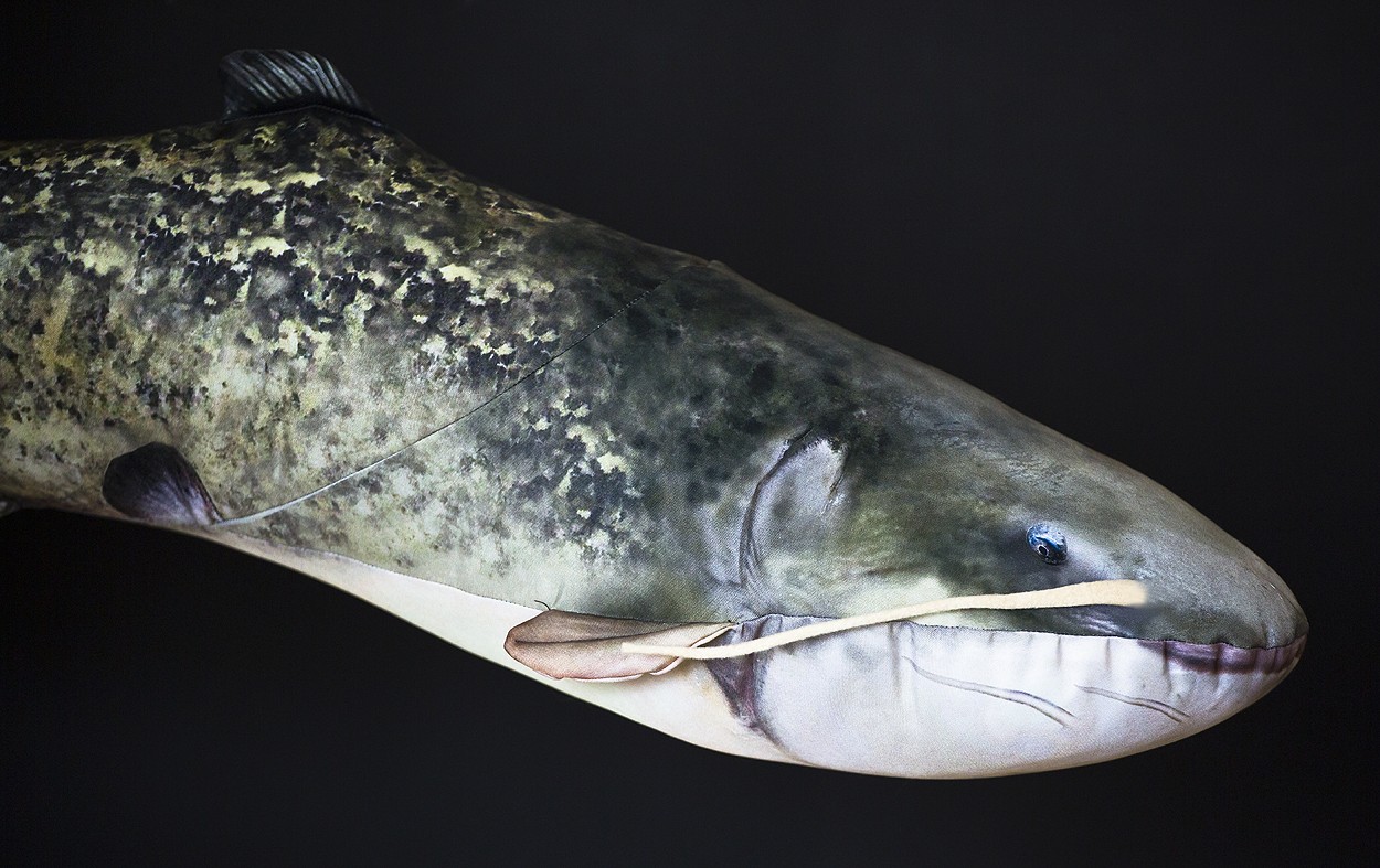 maskotka-sum-europejski-gaby maskotka-sum-europejski-gaby