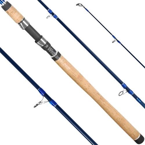 wedka-thytan-salmon-dragon