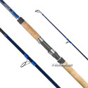 Wędka Dragon Thytan Catfish 300cm / 150-300g